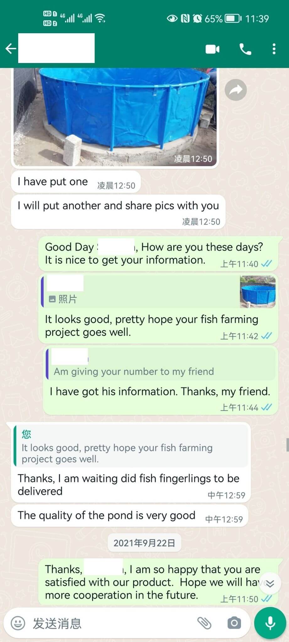 Customer Feedback - Whatsapp -1