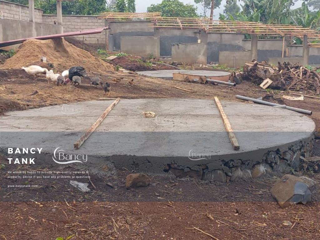 Cameroon Customer’s 15000L Catfish Farming Tank