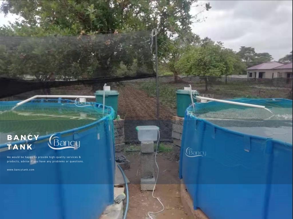 connect to other tilapia farming equipment