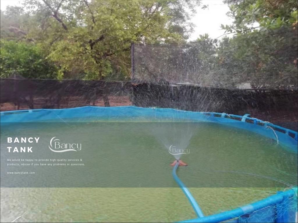 tilapia farming in tanks