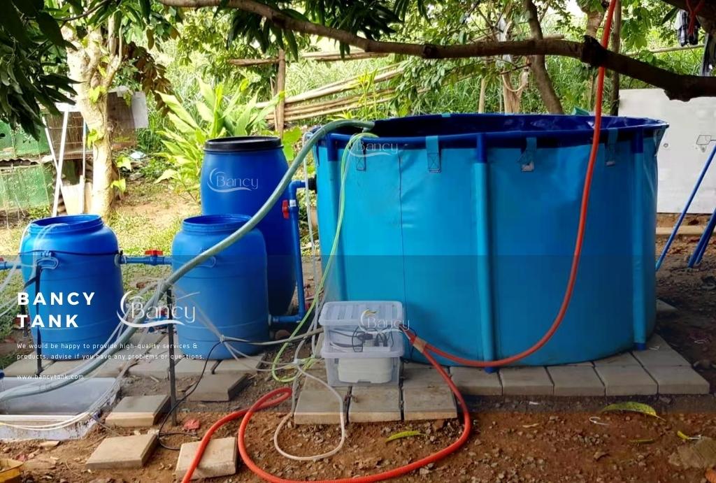 the 1000 liter fish farming at home tank system